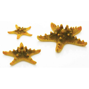 Set 3 stelute de mare galbene