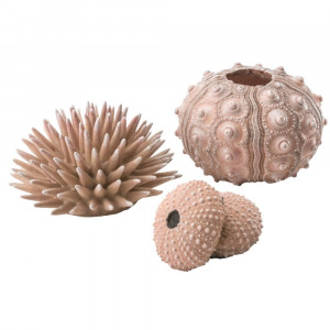 Set arici de mare biOrb, bej