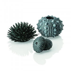 Set arici de mare biOrb, negru