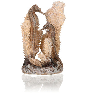 Decoratune caluti de mare pe corali biOrb, S