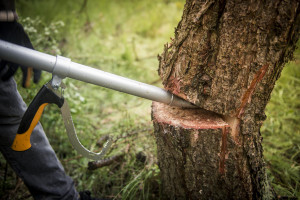 Levier pentru culcat busteni Fiskars WoodXpert - L