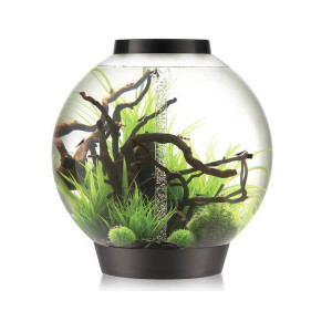 Set complet acvariu cu decoratiuni BiOrb Classic 105 litri MCR, Negru