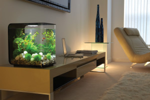 Set complet acvariu cu decoratiuni BiOrb Flow 30 litri MCR, Negru