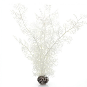 Decoratiune planta marina alba mare