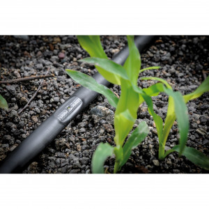 Kit irigare prin picurare IrriGo pentru 10 randuri cu regulator