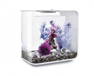 Set de decor acvarii 30 litri biOrb Pink Ocean