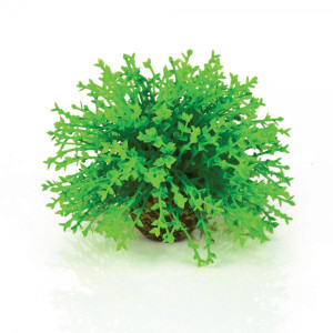 Decoratiune minge de flori verde, Biorb