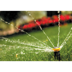 Duza rotativa RainBird R-VAN SST, 1.5 x 9.1m, margine