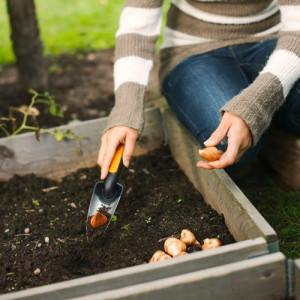 Plantator ingust Fiskars Premium