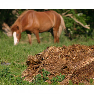 Ingrasamant din balegar de grajd Agro, 40 litri