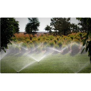 Aspersor spray fara duza Hunter PS-Ultra, 10 cm